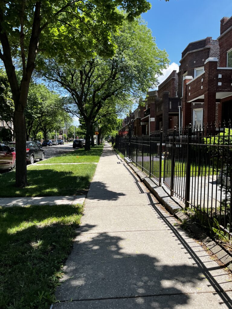 A sidewalk with street trees in a neighborhood on the West Side of Chicago